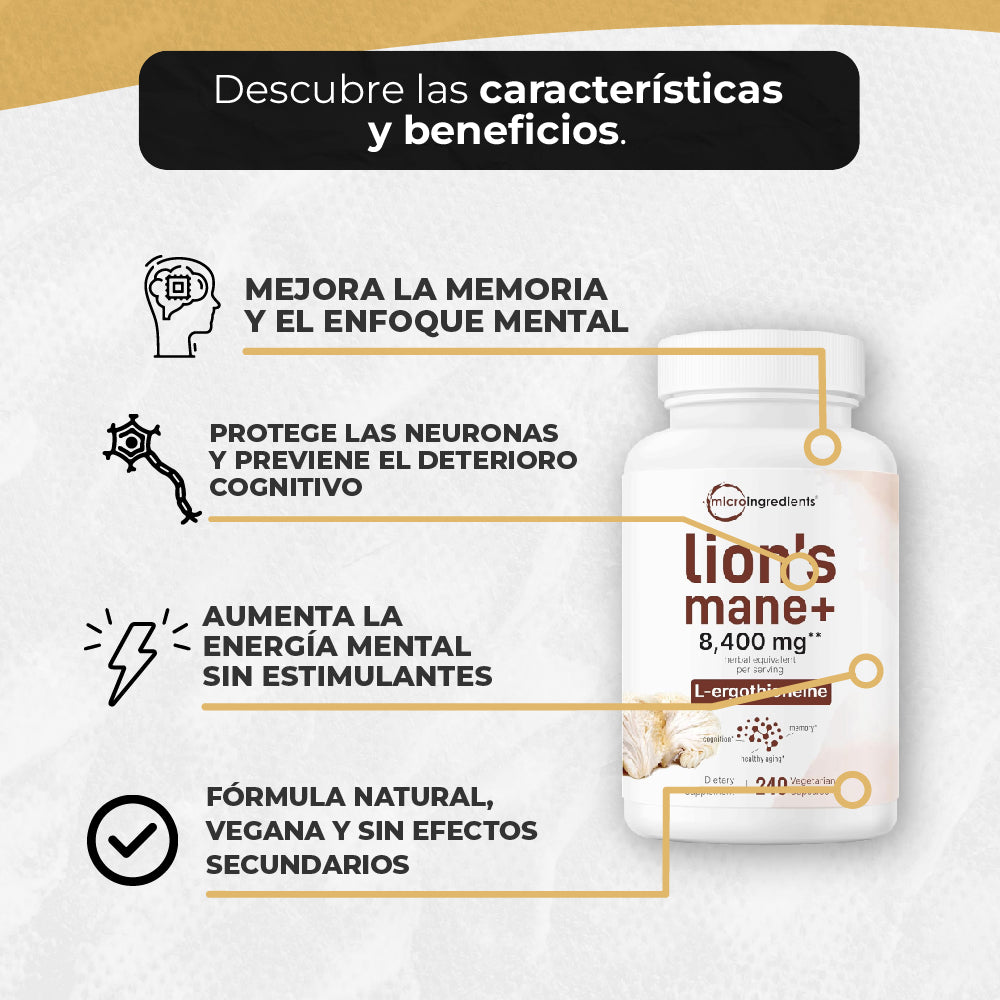 LION’S MANE+ PARA UN RENDIMIENTO CEREBRAL ÓPTIMO