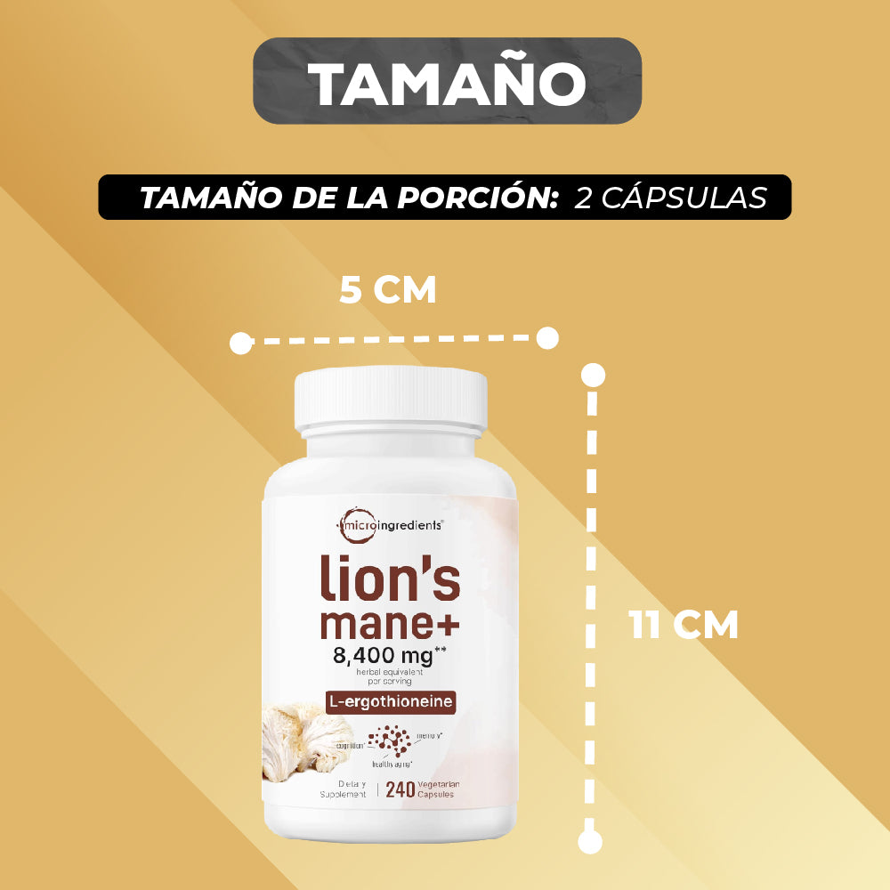 LION’S MANE+ PARA UN RENDIMIENTO CEREBRAL ÓPTIMO