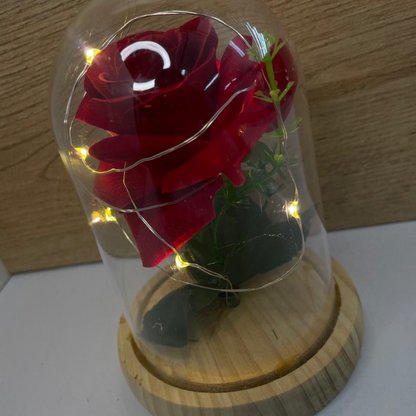 ROSA ETERNA🌹OFERTA PARA AMOR Y AMISTAD