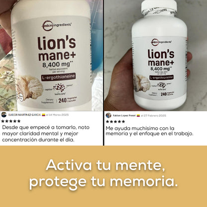 LION’S MANE+ PARA UN RENDIMIENTO CEREBRAL ÓPTIMO