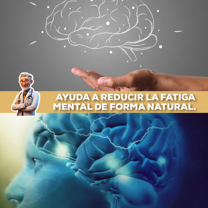 LION’S MANE+ PARA UN RENDIMIENTO CEREBRAL ÓPTIMO