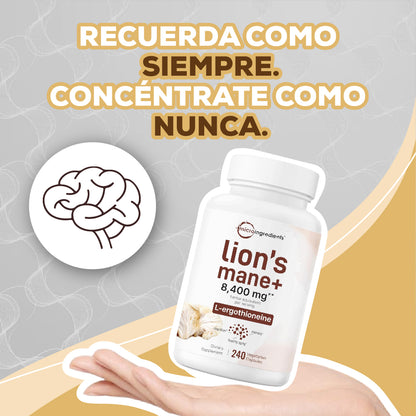 LION’S MANE+ PARA UN RENDIMIENTO CEREBRAL ÓPTIMO