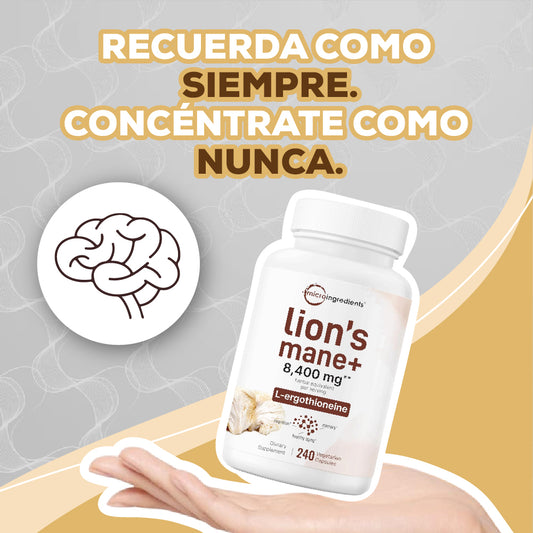 LION’S MANE+ PARA UN RENDIMIENTO CEREBRAL ÓPTIMO